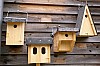 vogelhaeuser - (c) c tussing.jpg